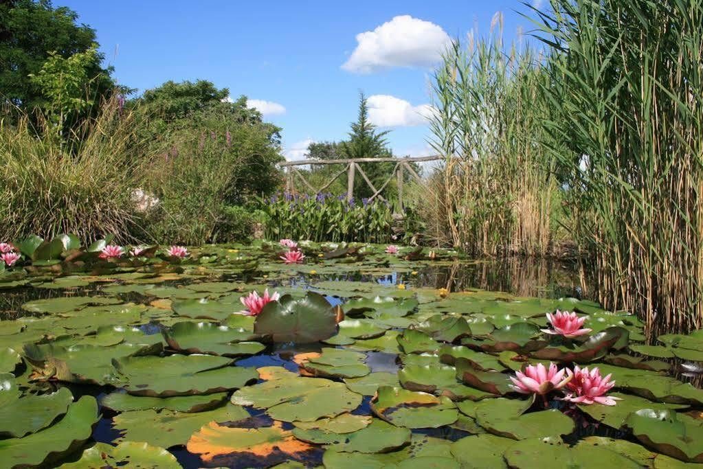 Auberge La Plaine Chabrillan エクステリア 写真